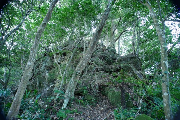 新北 三峽 內詩朗山、金平山2950924