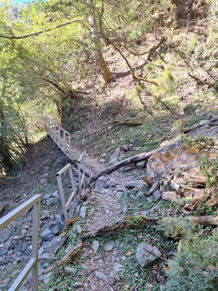 石山引水道202512112959574