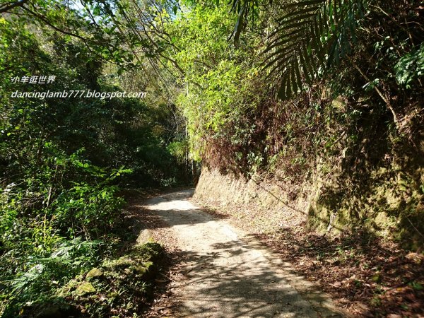【新竹】石牛山步道~ 踩在桃園新竹交界，CP值超高的大氣風景1698861