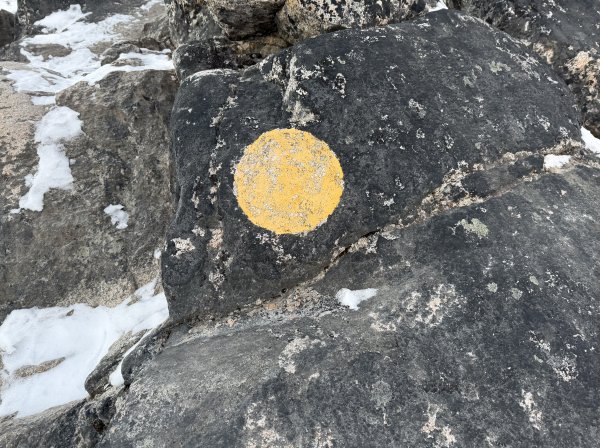 [紐約馬之行-40] 2025_1107 黃線步道-前2950517