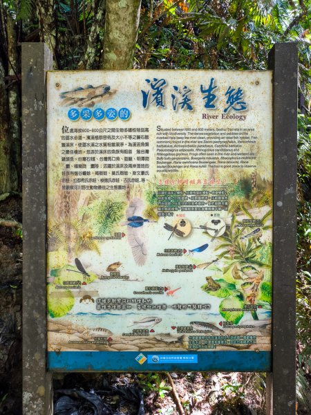 2024-08-22 澀水森林步道2578443