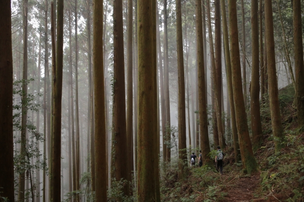 加里山：再見加里山68340