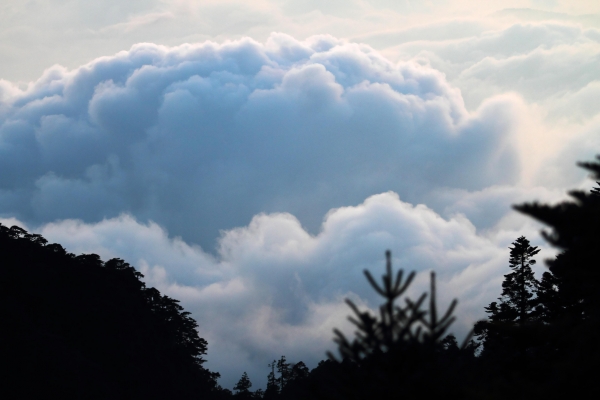 【山岳之美】 -排雲夕色7651