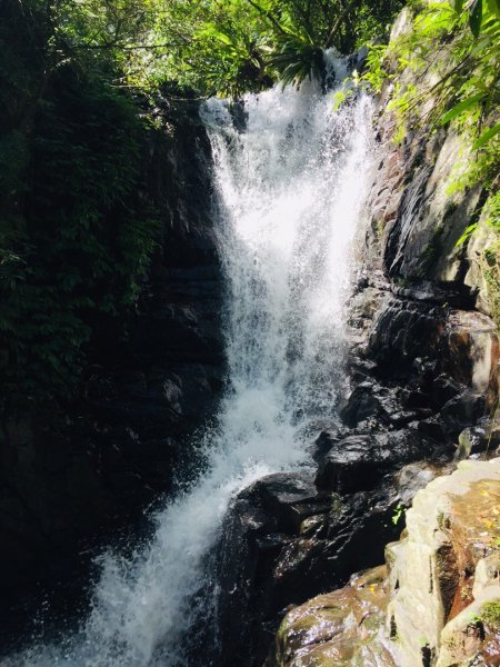 林美石磐步道446335