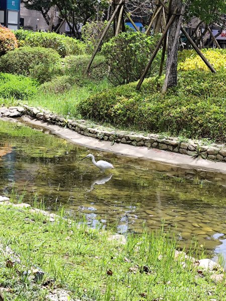 宏匯瑞光廣場、大港墘公園、至誠公園、師大公園2761913