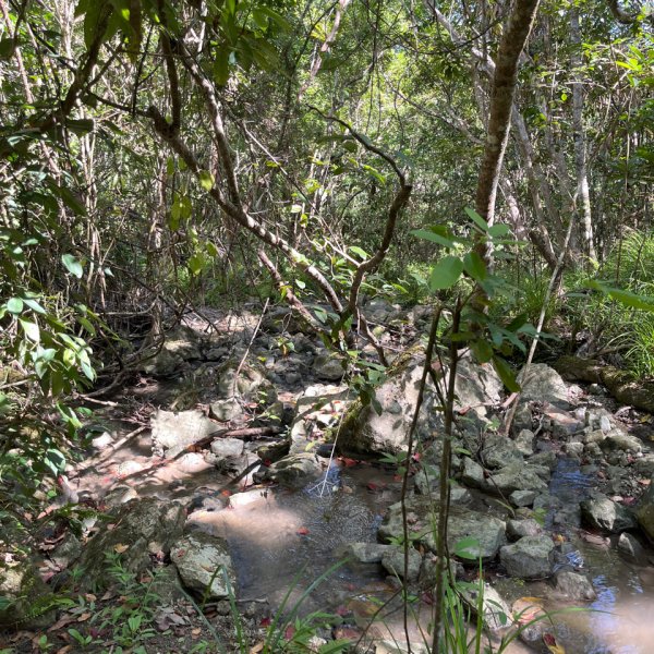 20251012_八里灣山（花蓮小百岳）2941297