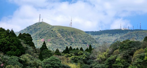 劍潭山，文間山，忠勇山，北投龍鳳谷步道，菜公坑瀑布，水車寮步道，頂湖山，青楓步道，海芋環狀步道2059404