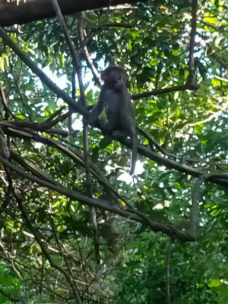 柴山/半屏山2858155