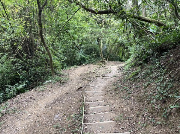 [微笑山線_第一段] 2025_0720 大棟山系_青龍嶺2843482