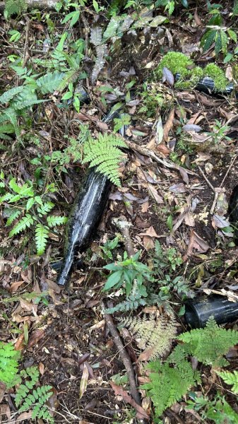 大同九分山/九份山3027608