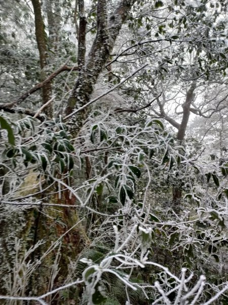 雪季北得拉曼2956429