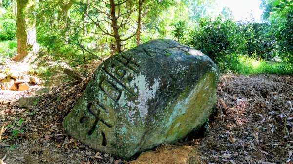 陽明山16草原之西線8草原2904049