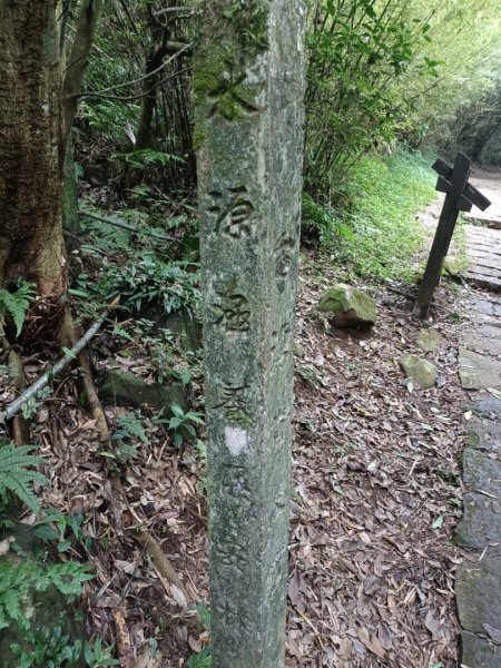 大屯群峰連走向天池，向天山，面天山1758957