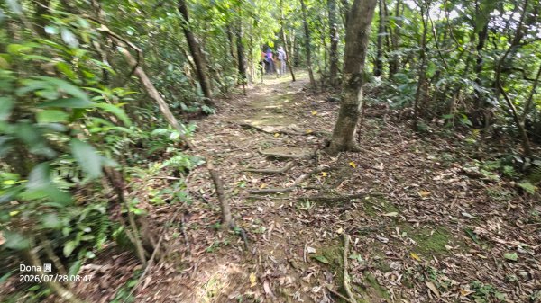 平湖西步道.內平林山.大坑山.平湖東步道O走全紀錄3094129