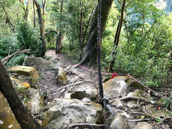 五寮尖上大風狂448883