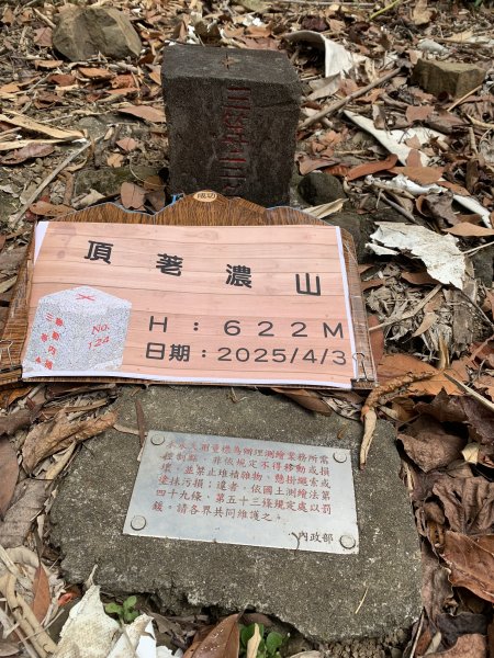 20250403高雄頂荖濃山2757171