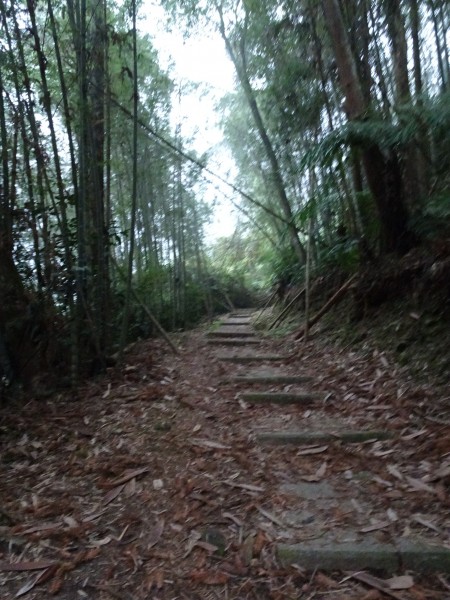 南投魚池-集集-水社大山和集集大山256544