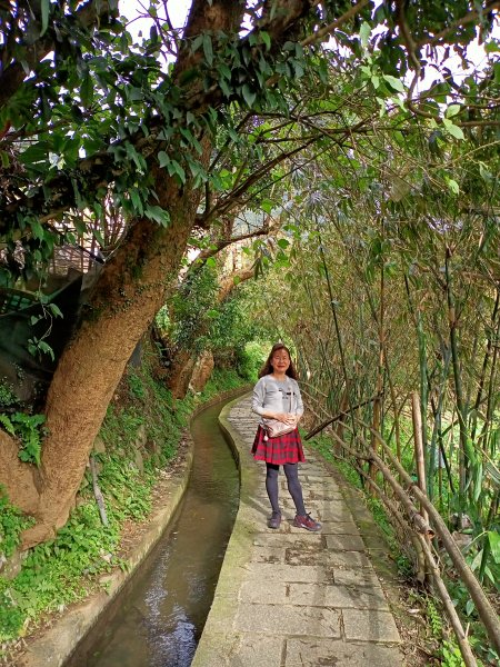 【南山神壽任務尋寶趣】流水潺潺的坪頂古圳親山步道→清風亭→大崎頭步道1591364