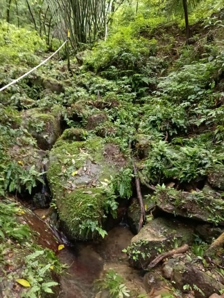 平溪區三功大厝+番子坑山+千階嶺步道O型2781124