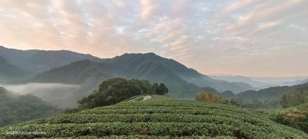 跟著雲海達人山友追雲趣-坪林南山寺&開眼崙2370538