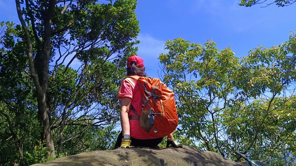 (姨婆趴趴走)第十四集:新竹關西油井窩山、彩和山、高甫山縱走2206445