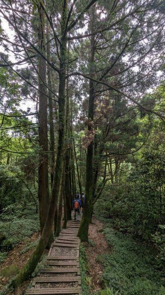 112.05.27擎天崗山-雞心崙2169075