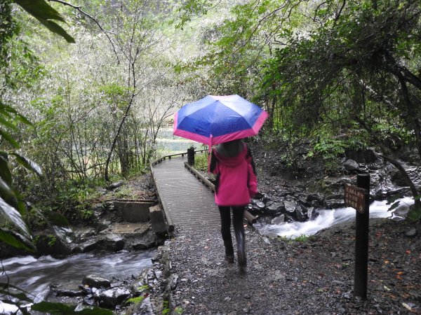 20181117林美石磐步道雨中行473290