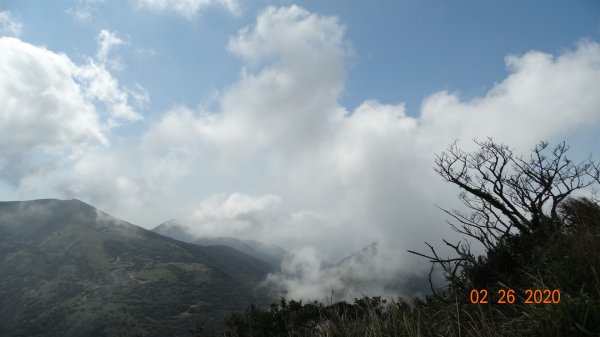 仙境?!雲霧繚繞! 2020/4th雲瀑853334