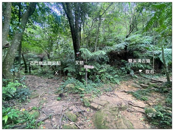 臺北大縱走第四段 風櫃嘴至捷運大湖公園站3079942