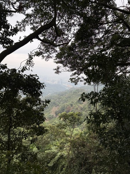 1150206天上山及硬漢嶺2999149