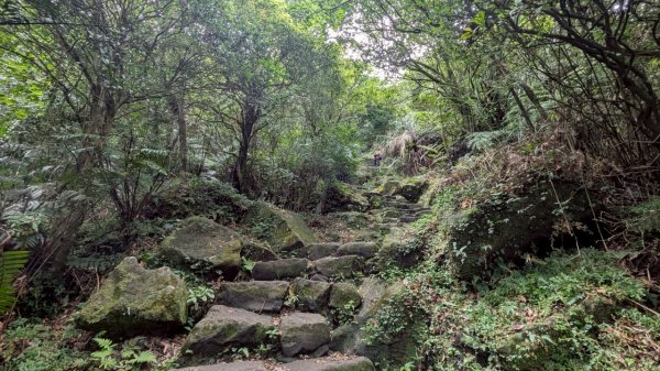 114.07.13三進三出七星山之旅2837159