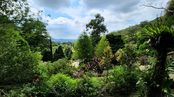 五寮尖，金平山，三民蝙蝠洞，觀音洞步道，基國派教堂，八德埤塘生態公園，中庄吊橋1798208