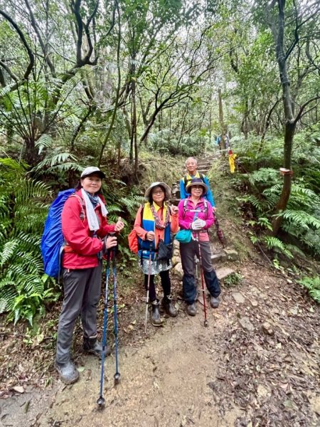 台北縱走第四段訪雙溪山 梅花山與西峰南峰西南峰 碧山3012804