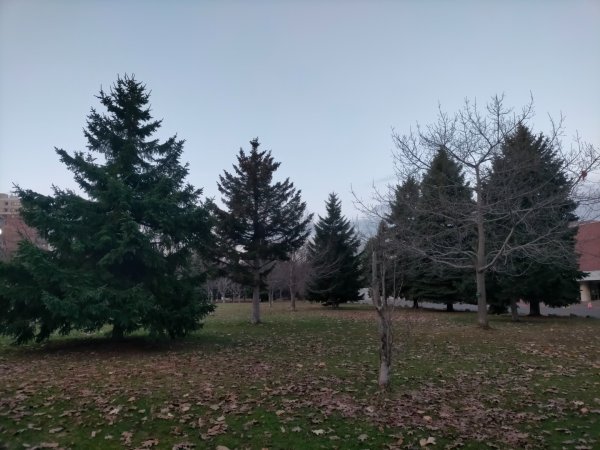 日本北海道札幌中島公園2759667