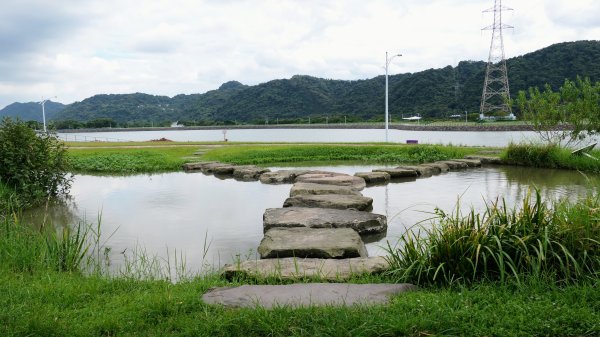 中庄調整池,中庄吊橋,大溪老街2603254