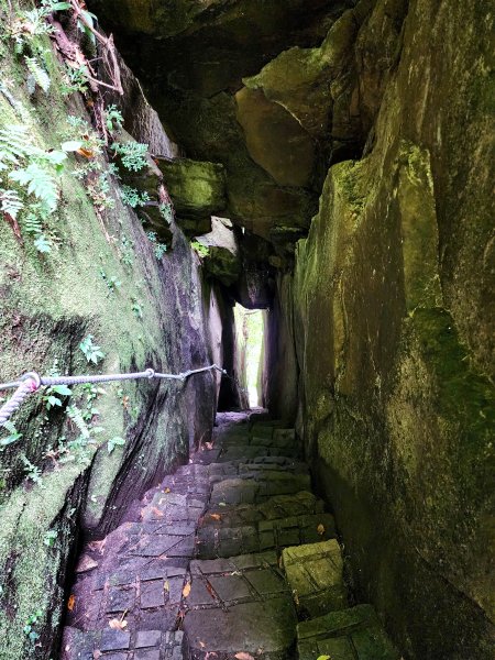 五指山橫向登山步道×猴洞步道一線天3060556