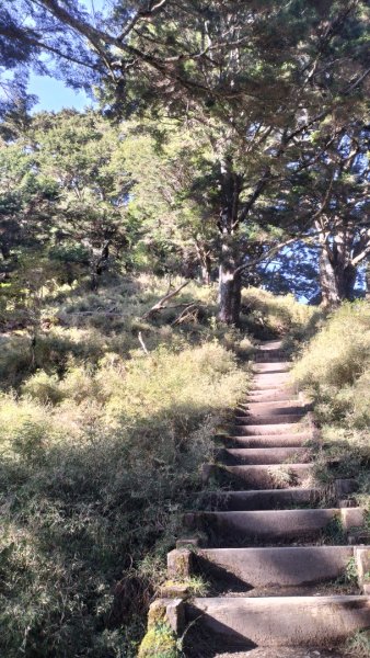 20250126_臺南首嶽關山2706897