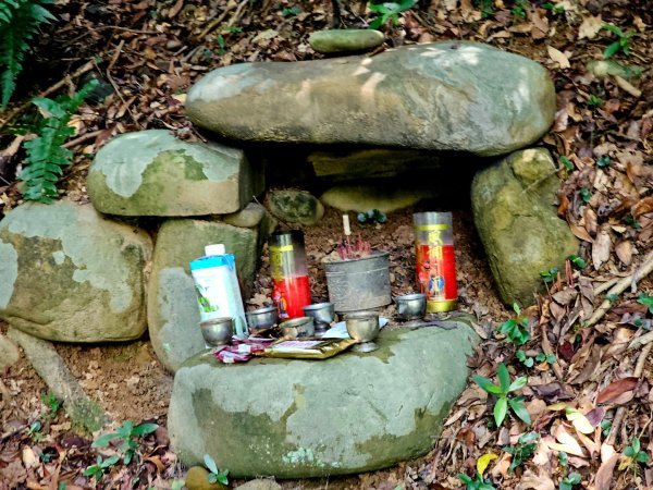 三段崎古道-2025森遊竹縣皮皮獅探險隊2890100