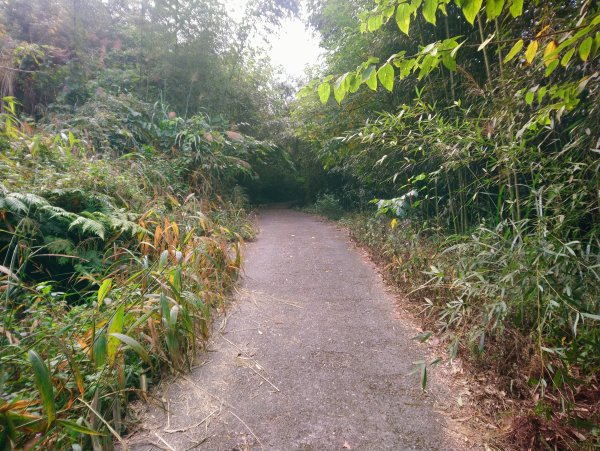 馬那邦山(小百岳編號037)720088