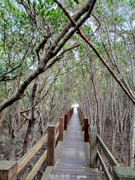 【新竹新豐】台灣唯一建有觀賞步道的生態保護區。 新豐紅樹林生態保護區2381813