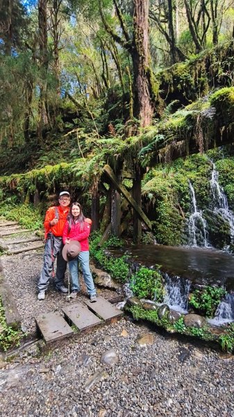 見晴懷古步道2940580