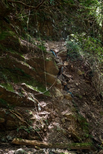 霞山鐵道野營2843130