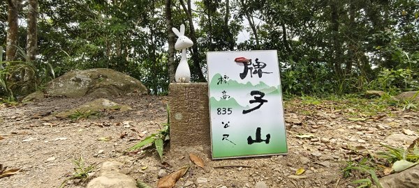 2025/07/06_金牌縱走(觀音洞出發小O型)2829111