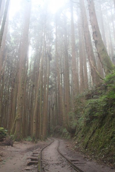 20201009嘉義特富野古道1137501