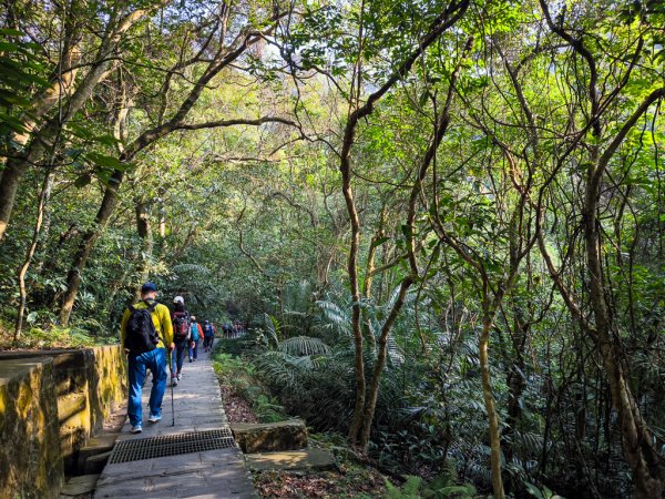 2026-02-22 內湖雙心縱走3006791