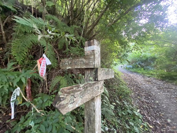 20250713-Ep.10李崠山步道-2025森遊竹縣皮皮獅探險隊2851946