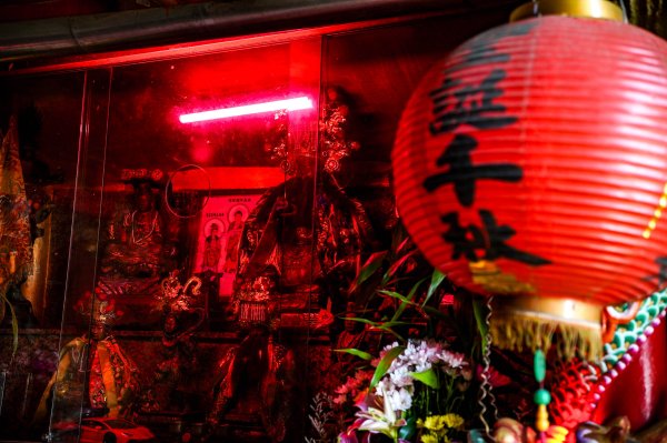 大崗山步道｜小百岳2812782