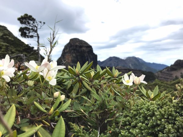 大霸群峰1000683