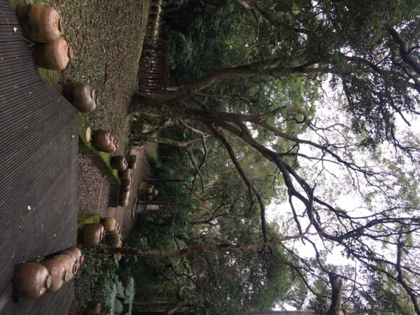 五酒桶山、南崁山2693359