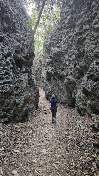 【即使簡單也要心存敬畏！】小百岳#074-大崗山、盤龍峽谷一線天O繞。3025833